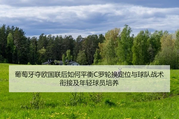 葡萄牙夺欧国联后如何平衡C罗轮换定位与球队战术衔接及年轻球员培养